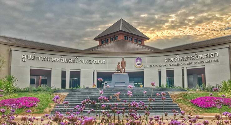 คณะแพทยศาสตร์