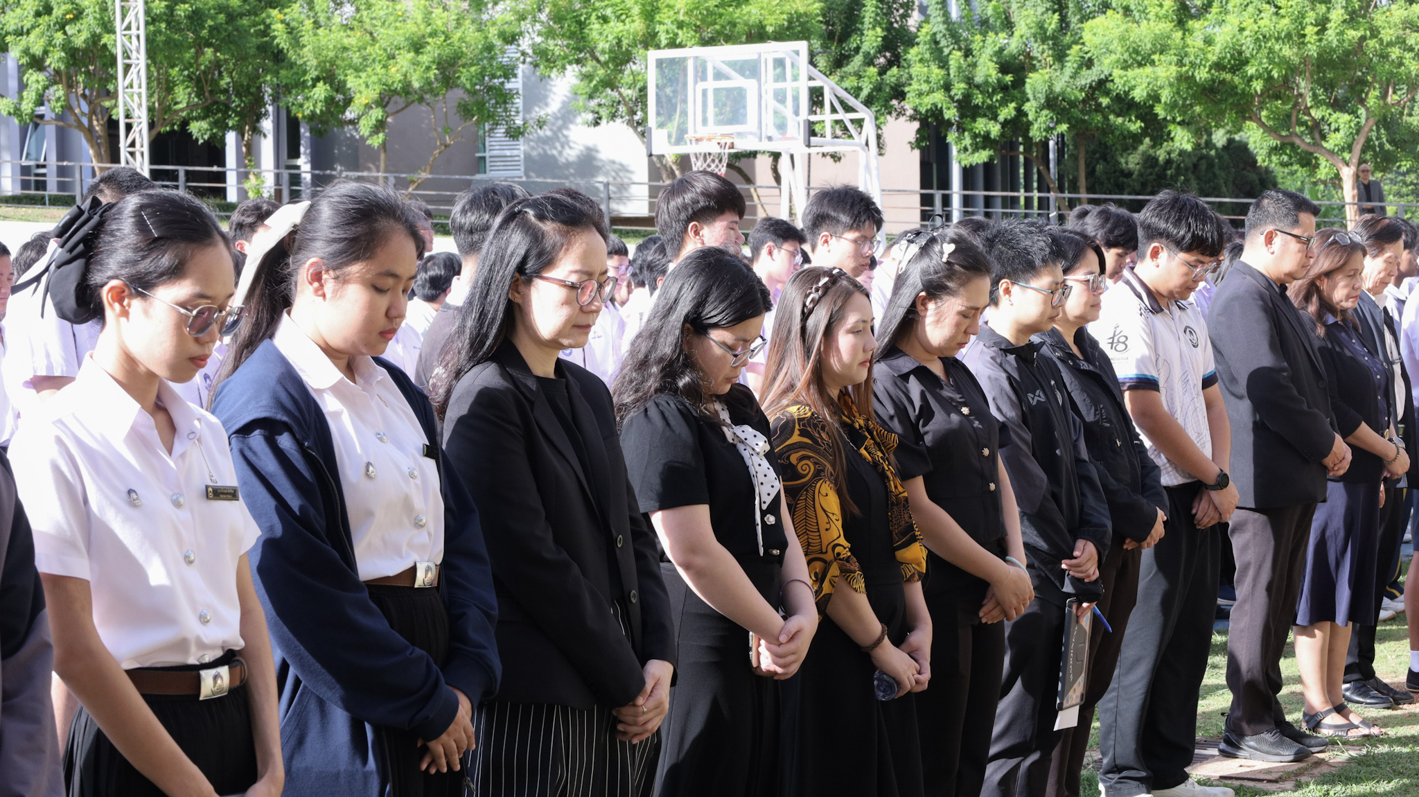 รูปภาพที่ 8