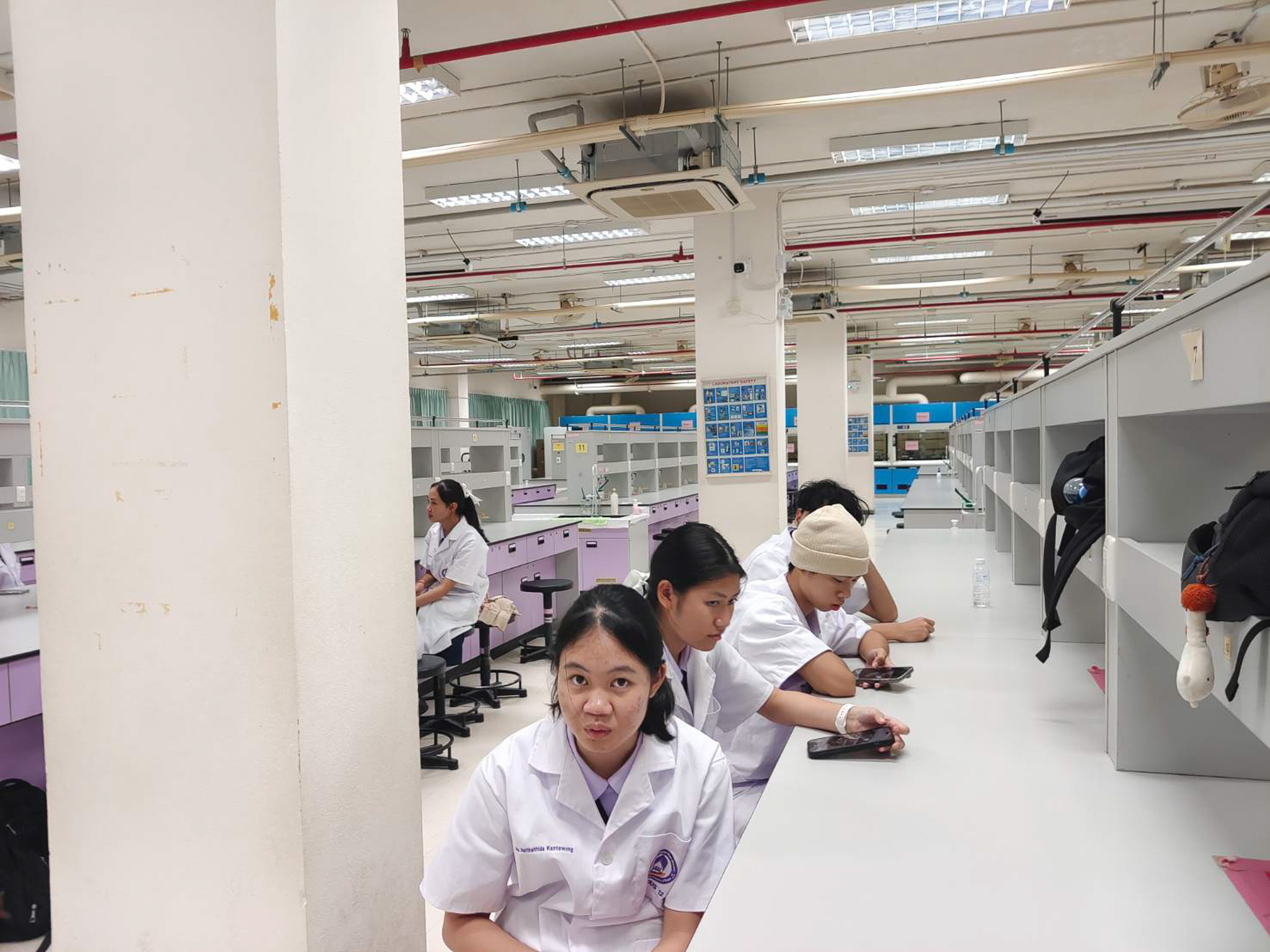 รูปภาพที่ 12