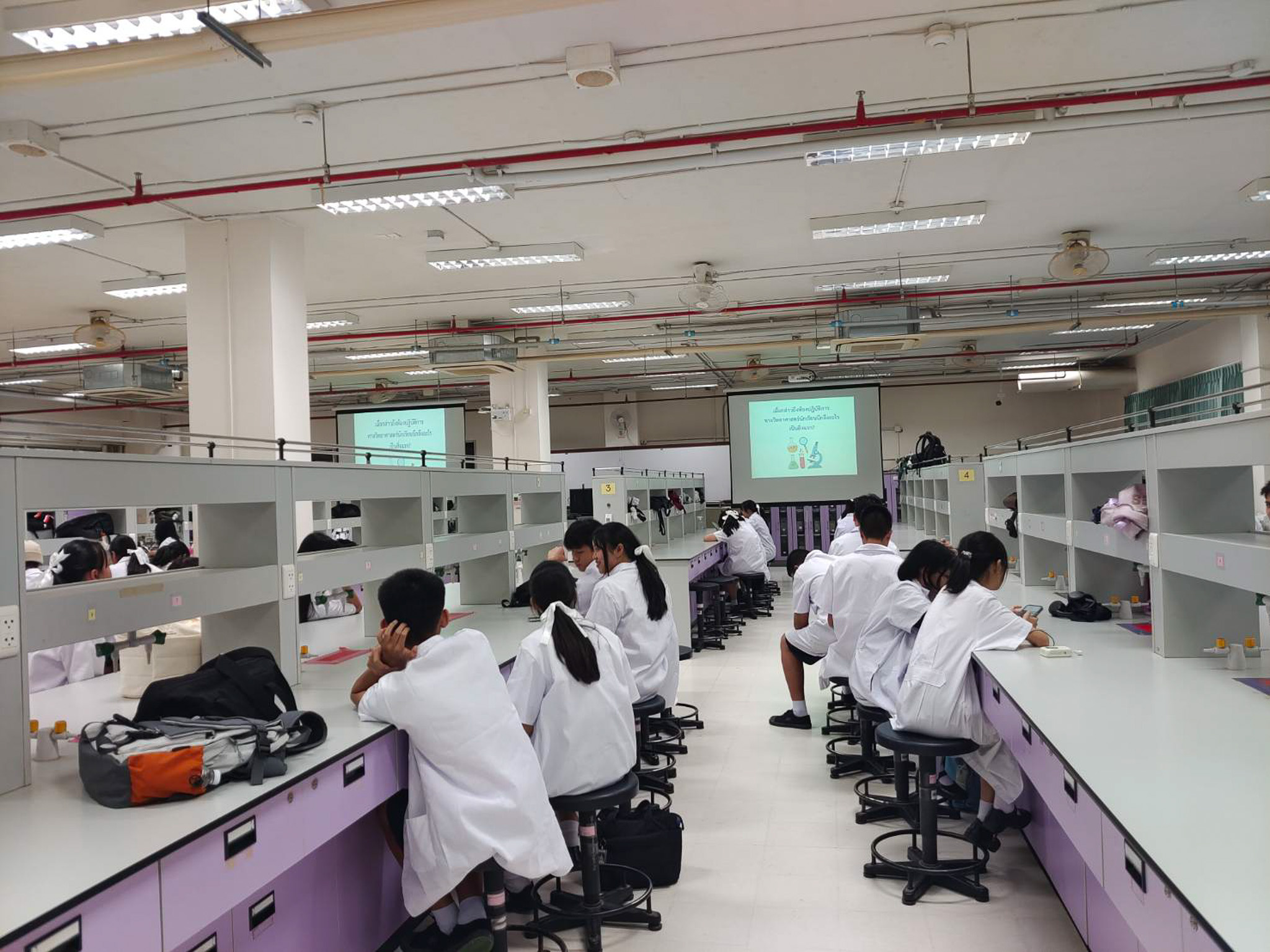 รูปภาพที่ 16