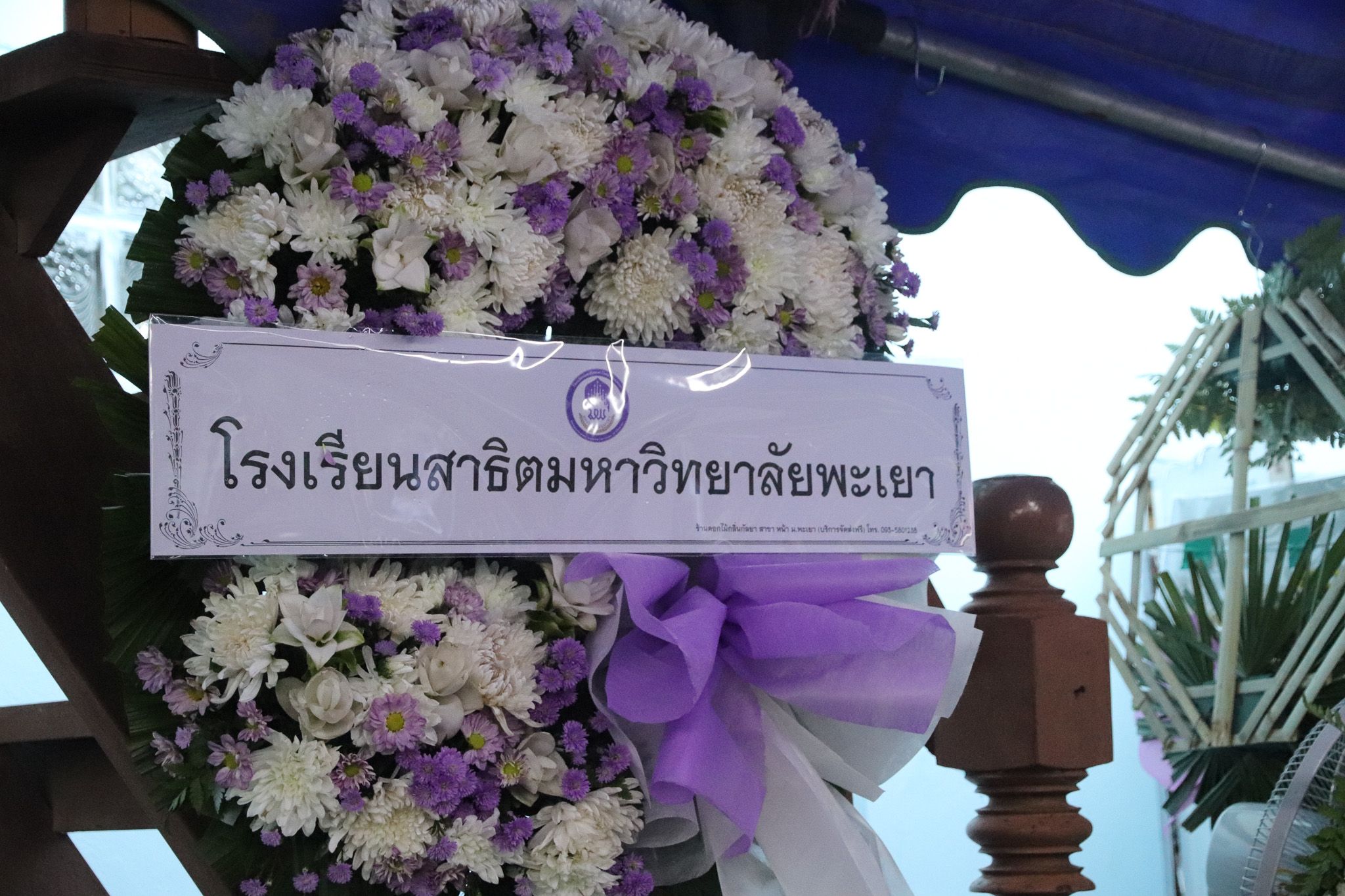รูปภาพที่ 13