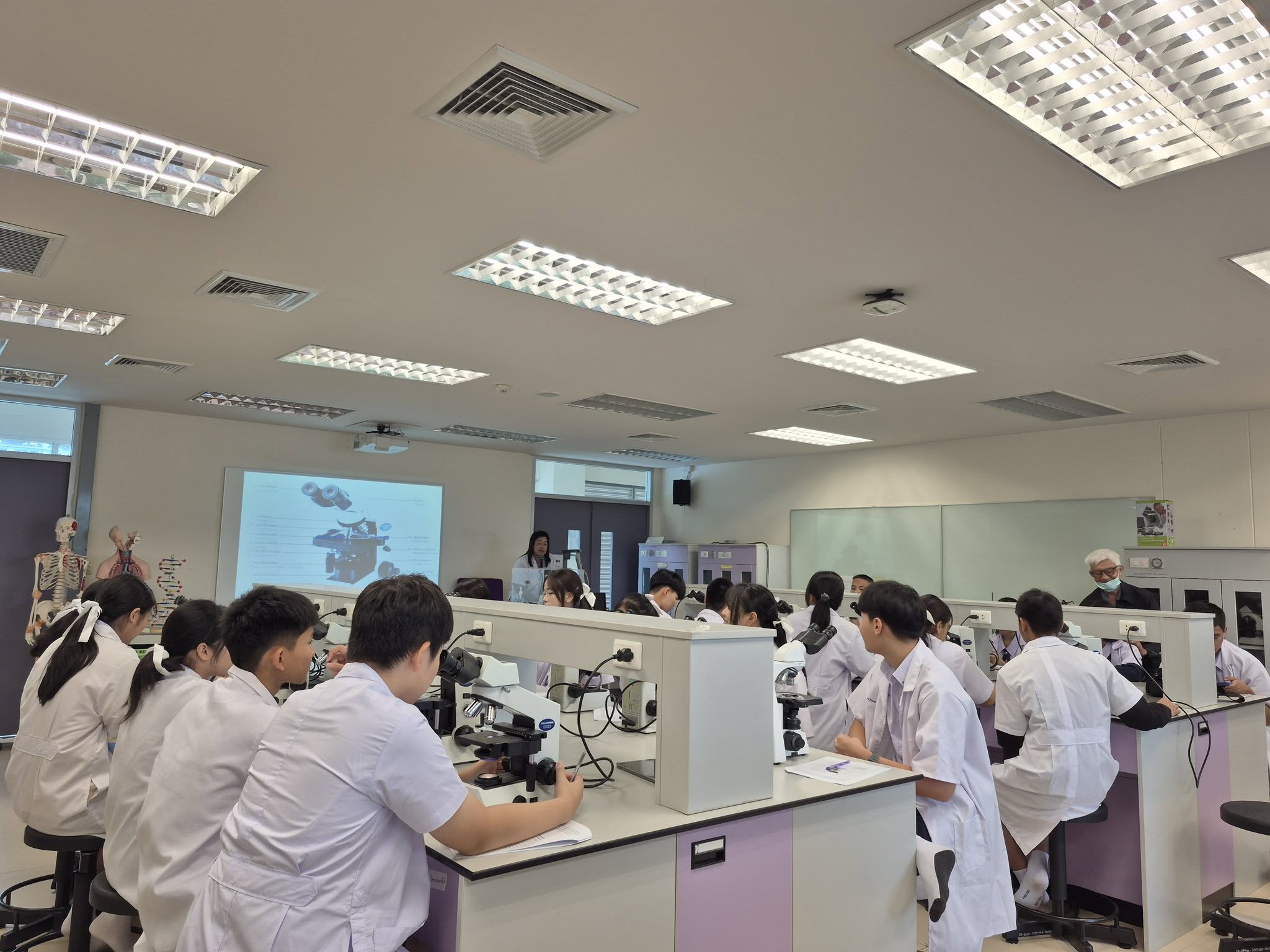 รูปภาพที่ 3