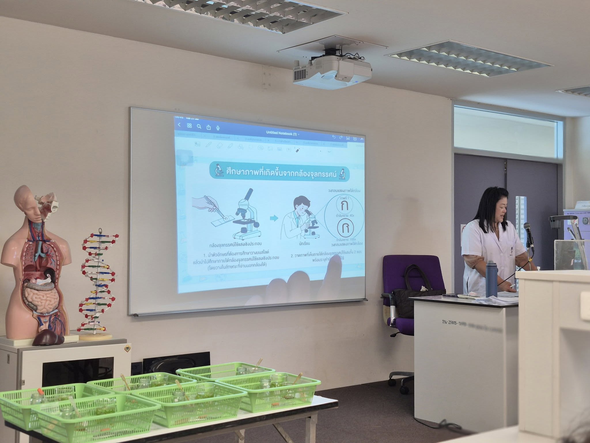 รูปภาพที่ 5
