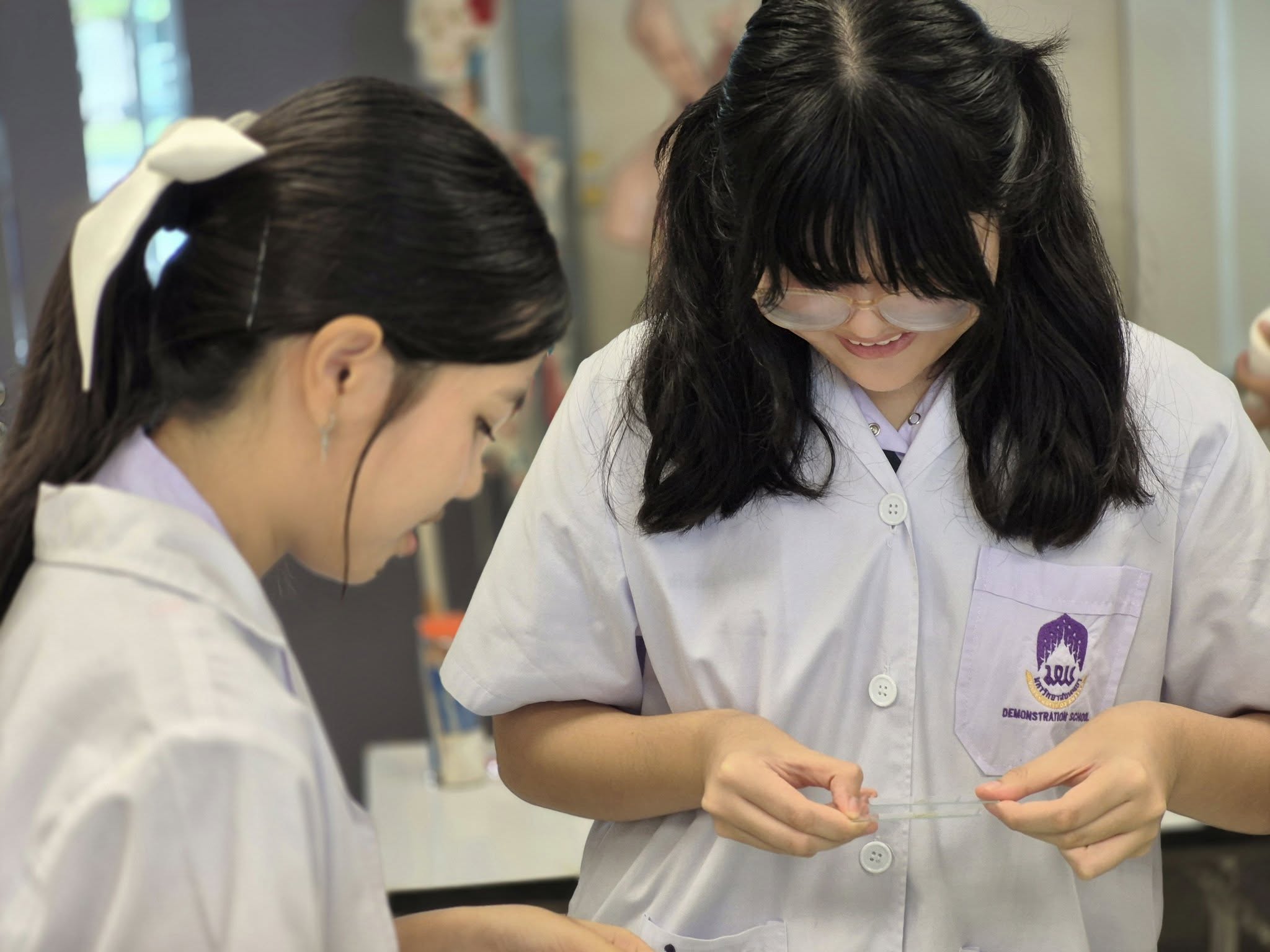 รูปภาพที่ 15