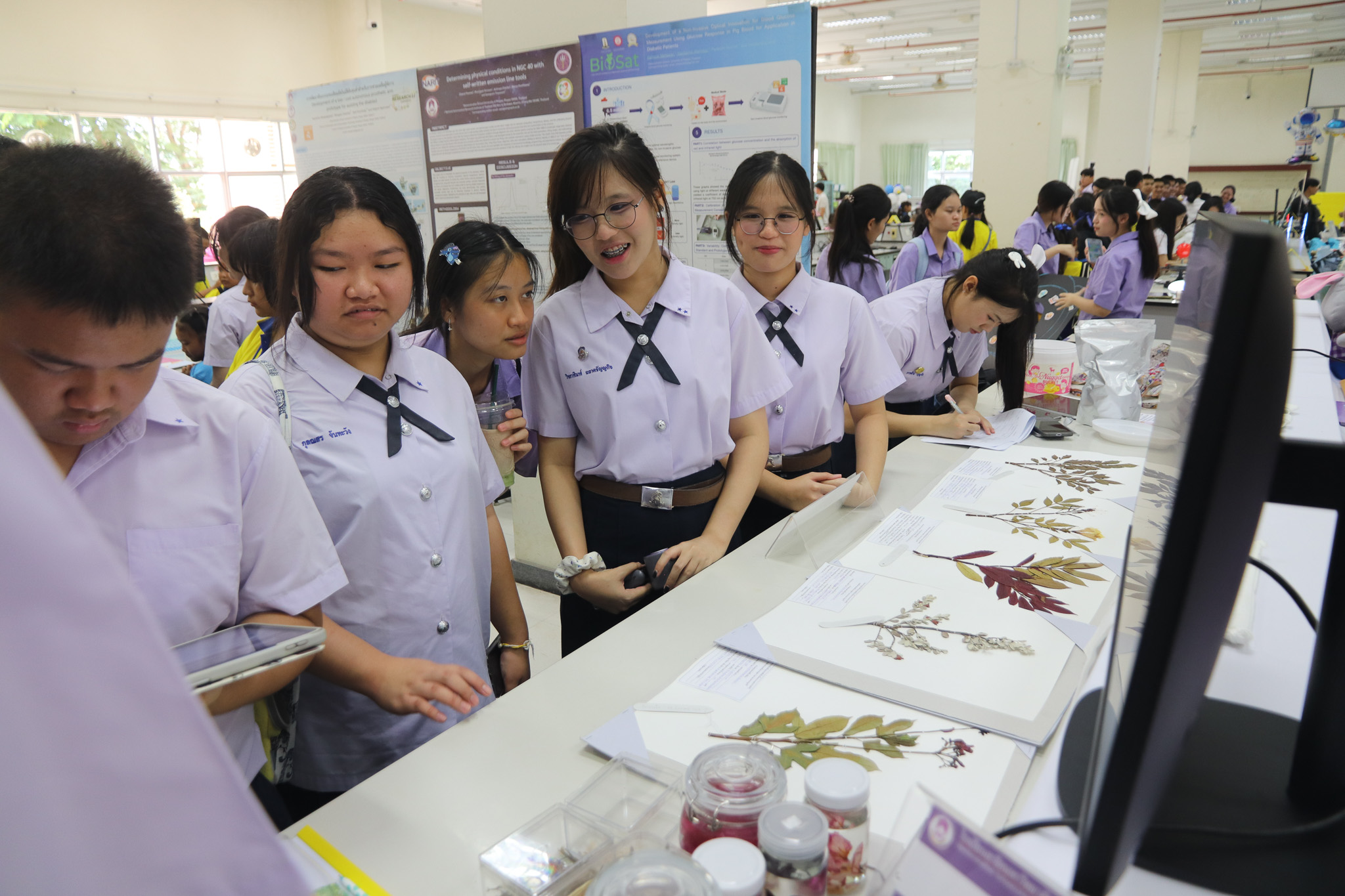 รูปภาพที่ 6